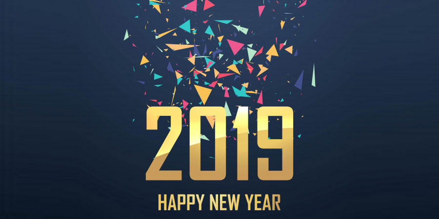 Beautiful 2019 New Year Card Celebration Background vector