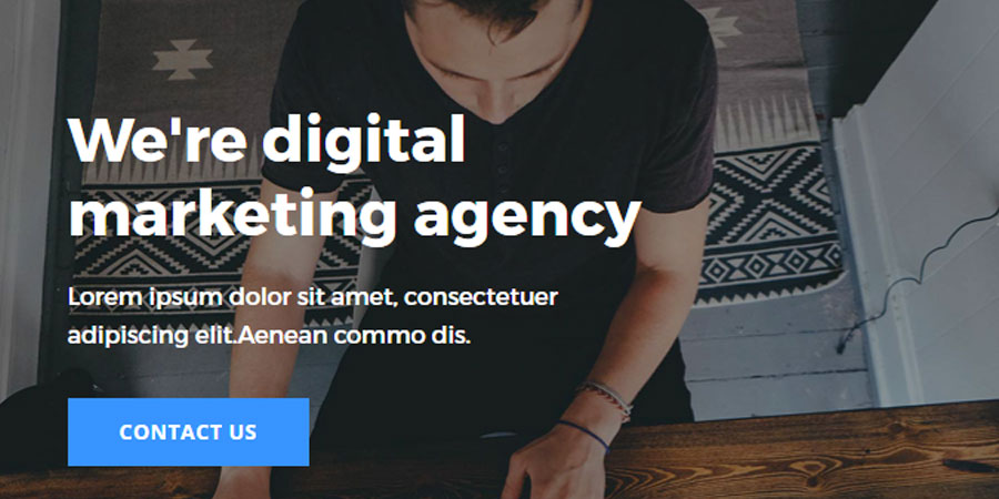 Teera - Multiprupose Responsive Agency Email Template