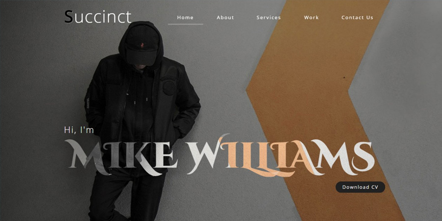 Succinct a Personal Web Template