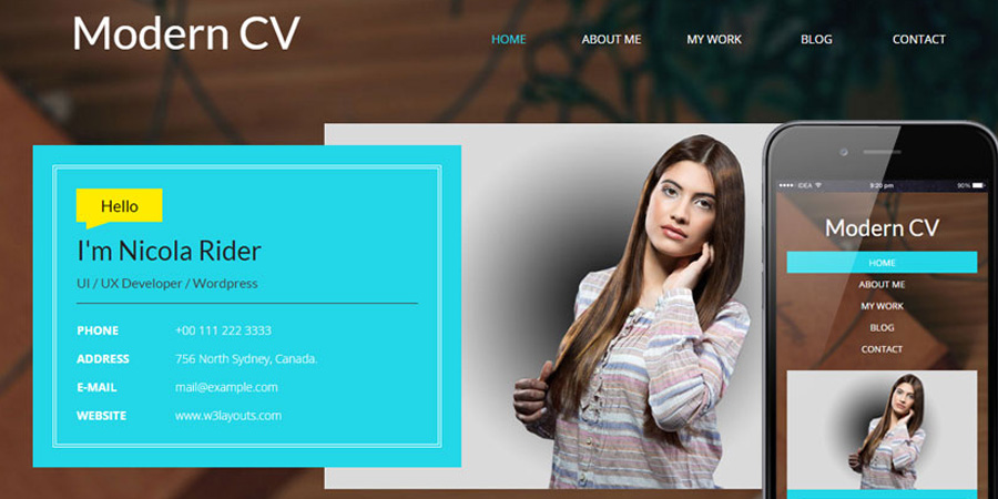 Modern CV