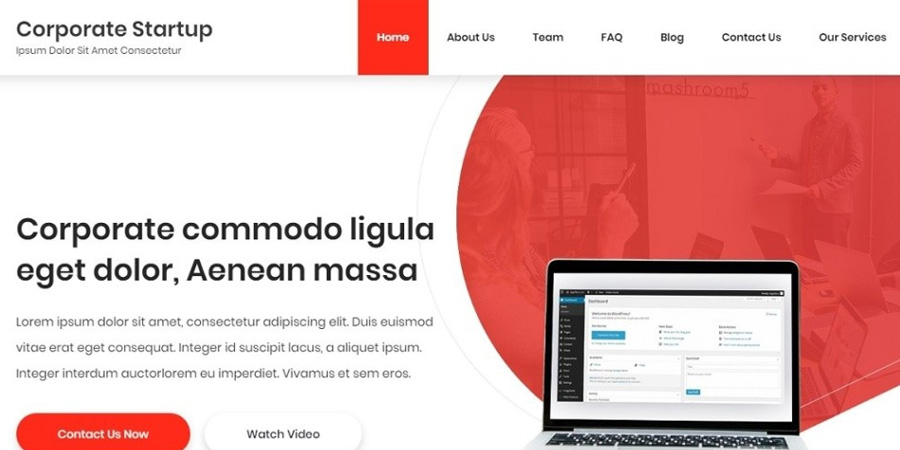 Corporate Startup