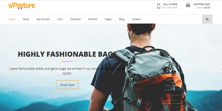 WP Store