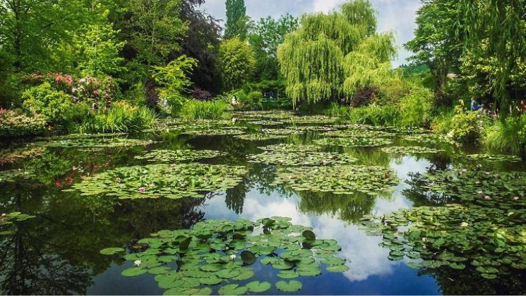 Best Day Trips from Paris in Loire Valley