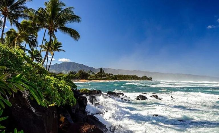 North Shore