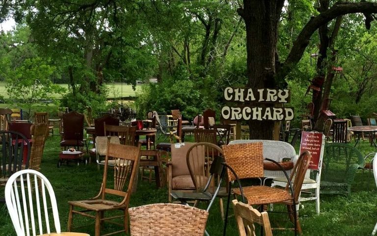 The Chairy Orchard