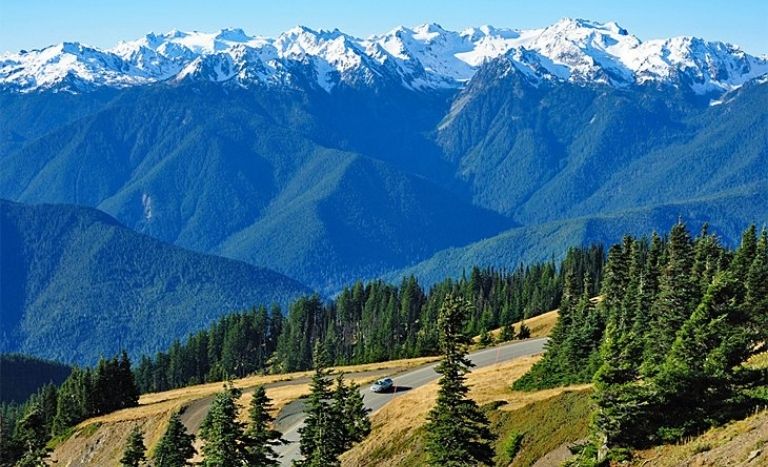 Olympic National Park Day Trips from Seattle