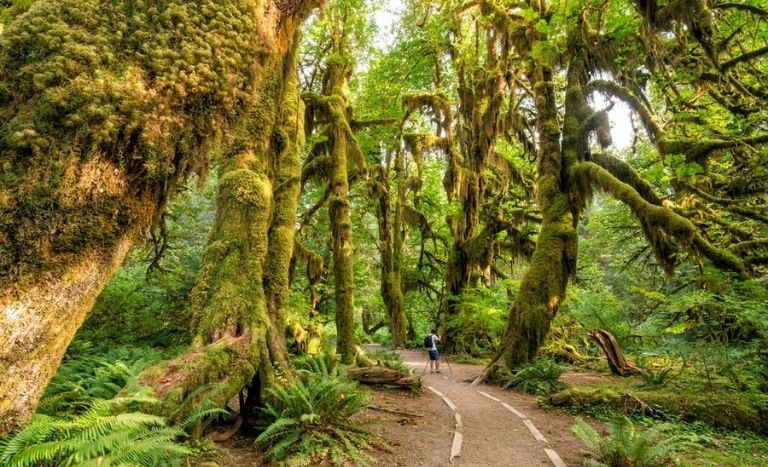 Seattle to Olympic National Park