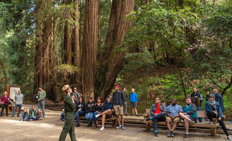 Things to do in Sausalito in Muir Woods