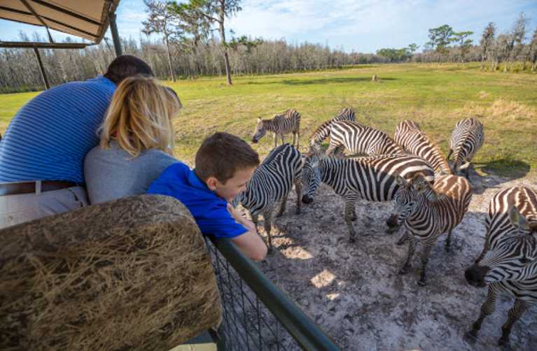 Safari Wilderness Ranch