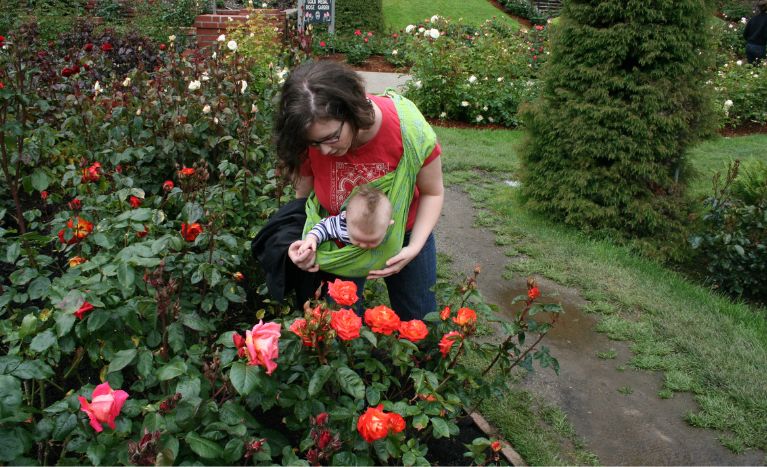 Municipal Rose Garden