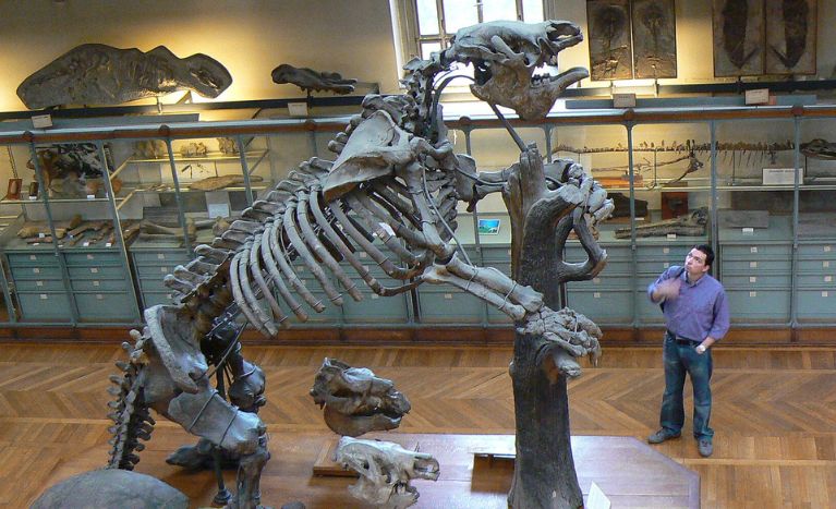 Things to Do in Fayetteville NC in Museum of Cape Fear