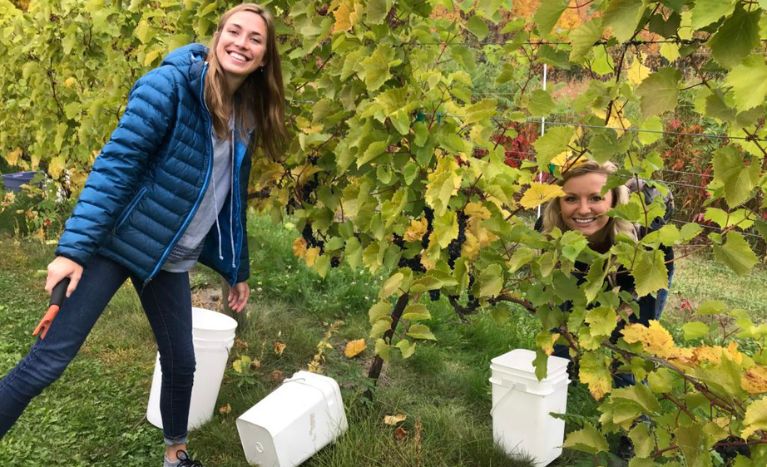 things to do in Fayetteville NC in Auman Vineyards