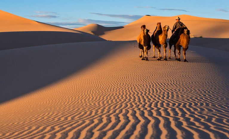 Gobi Desert