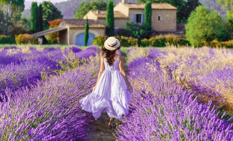 Places to Travel in July at Provence