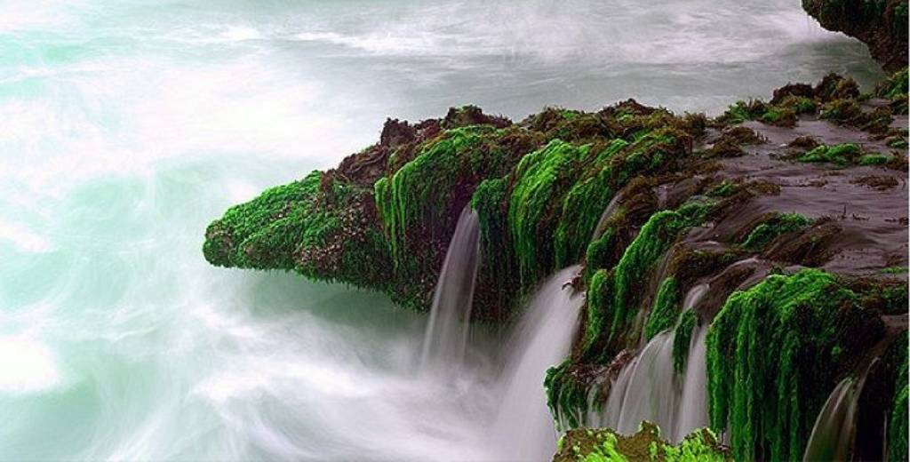 Rotana Jet Airlines Salalah Office in Oman