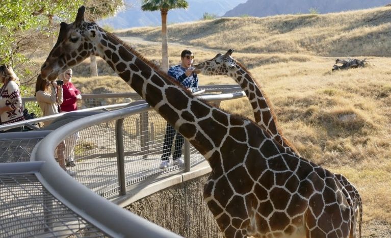 Living Desert Zoo