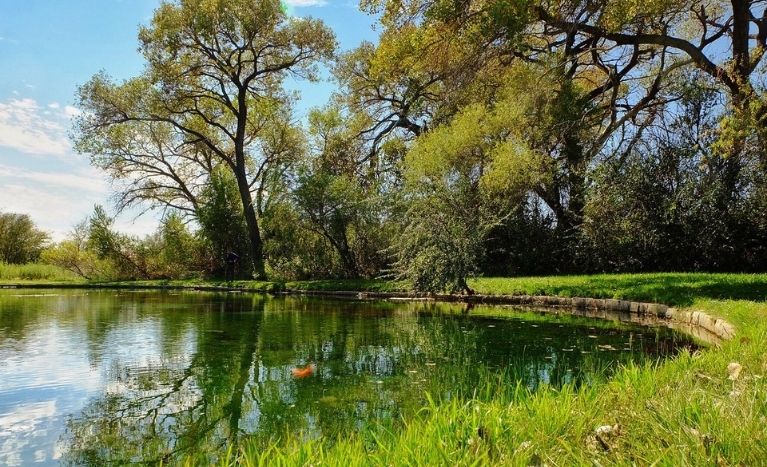 Rattlesnake Springs