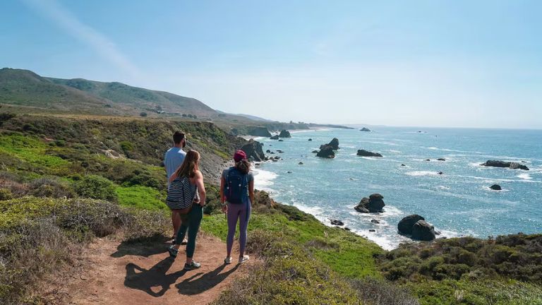 Things to Do in Bodega Bay