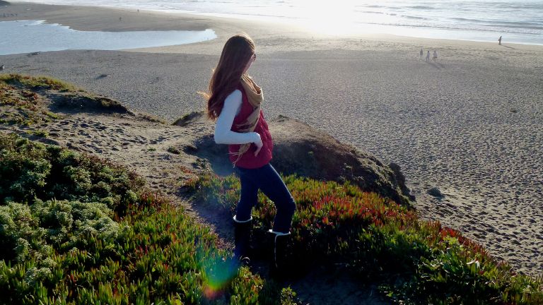 Things to Do in Bodega Bay, What to do in Bodega Bay