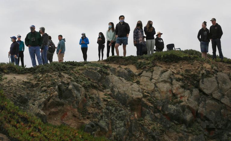 Bodega Head