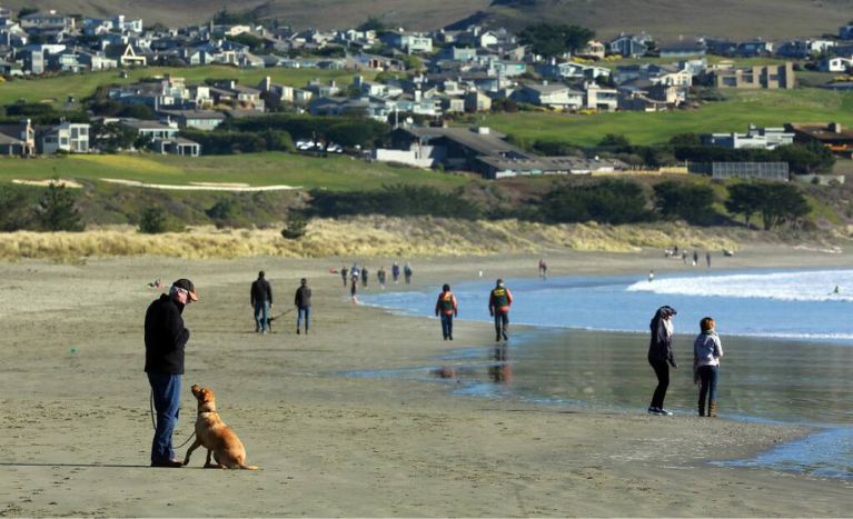 Things to Do in Bodega Bay at Doran Regional Park
