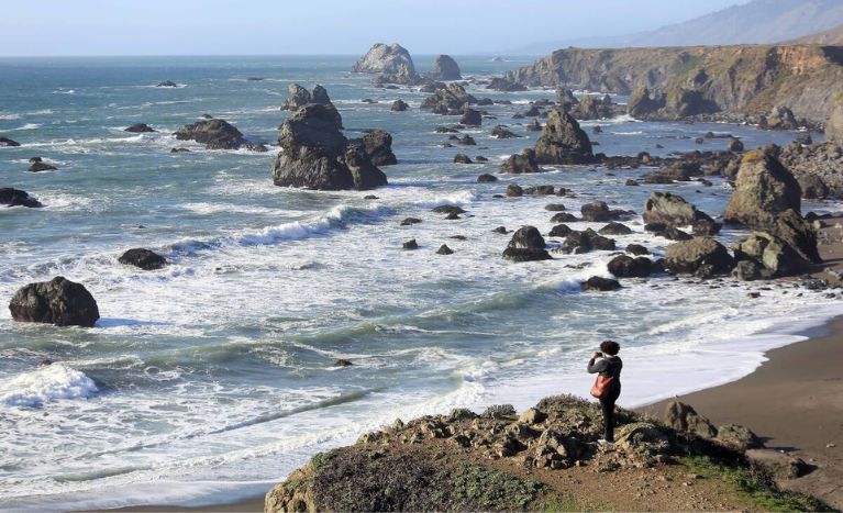 Things to Do in Bodega Bay in Sonoma Coast