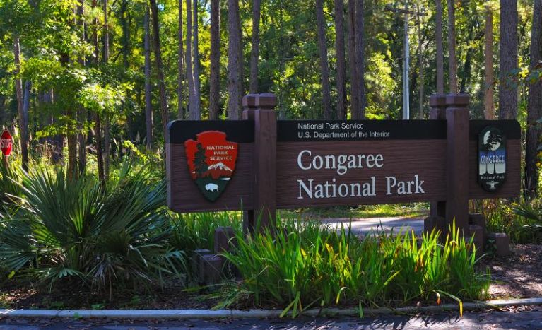 Things To Do in Columbia,Congaree National Park