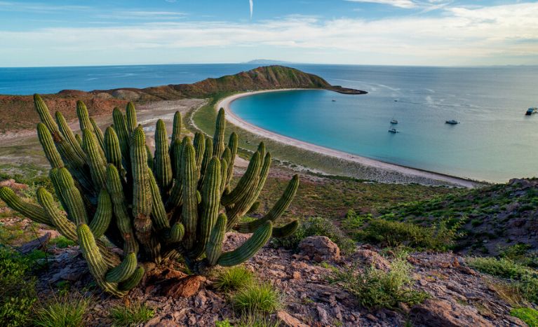 Baja Peninsula