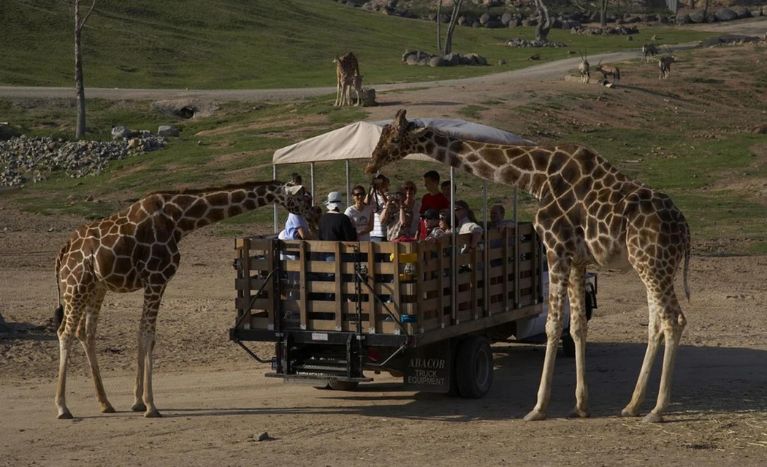 Bel Air Animal Park