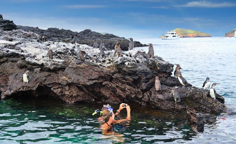 Places to Visit in South America Galápagos Islands