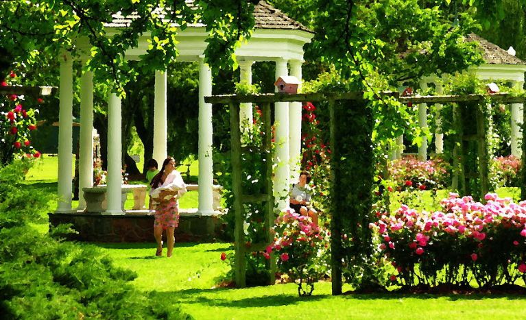 Things to do in Allentown PA, Allentown Rose Garden