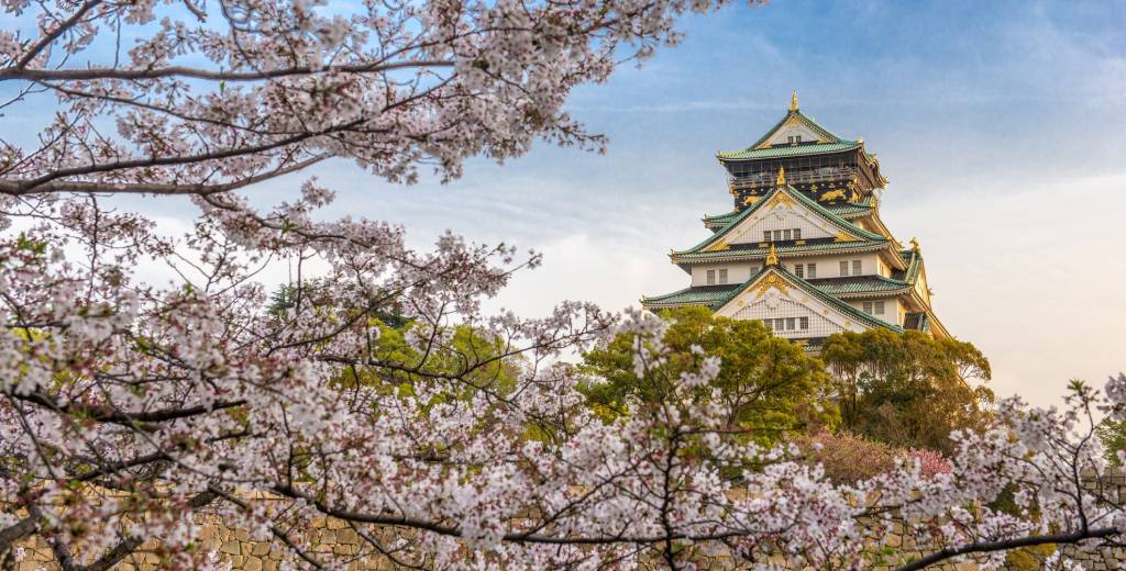 Spring Japan Airlines Kansai Office in Japan