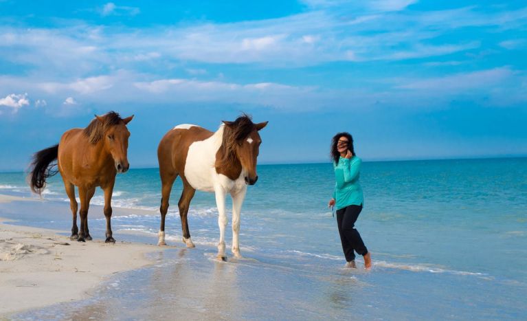 Places to Visit in Maryland, Assateague Island