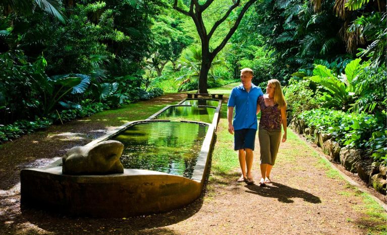 Things to do in Kauai, Lush Gardens