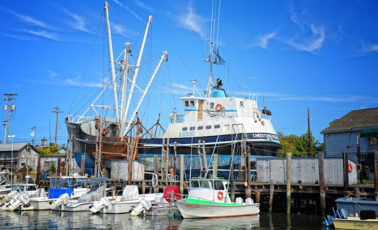 Things to do in Cape May, Sailboats