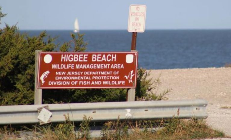 Things to do in Cape May, Higbee Beach Wildlife Management