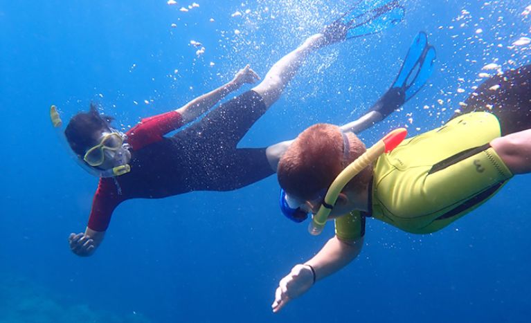Catalonia's diving season
