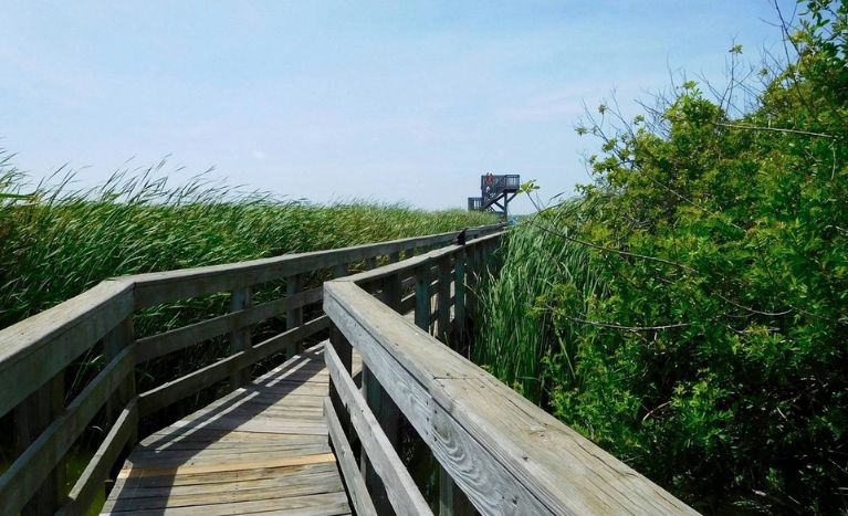 Leonabelle Turnbull Birding Centre