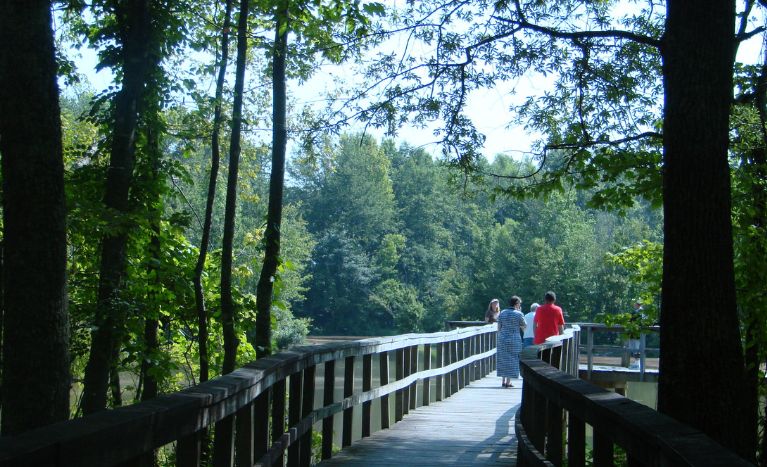 Things to do in Jackson, TN - Cypress Grove Nature Park