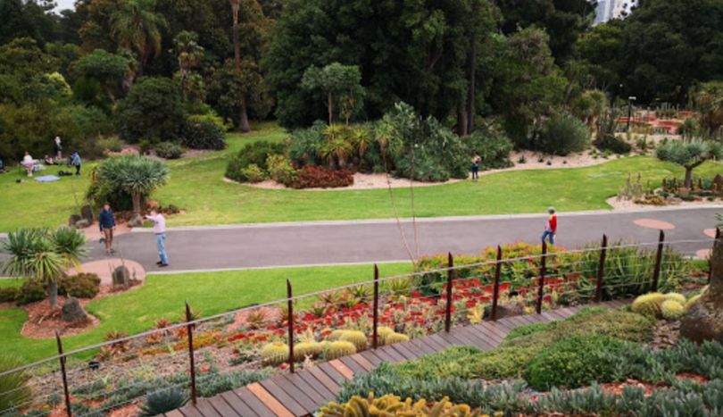 Things to do in Melbourne, Royal Botanical Gardens