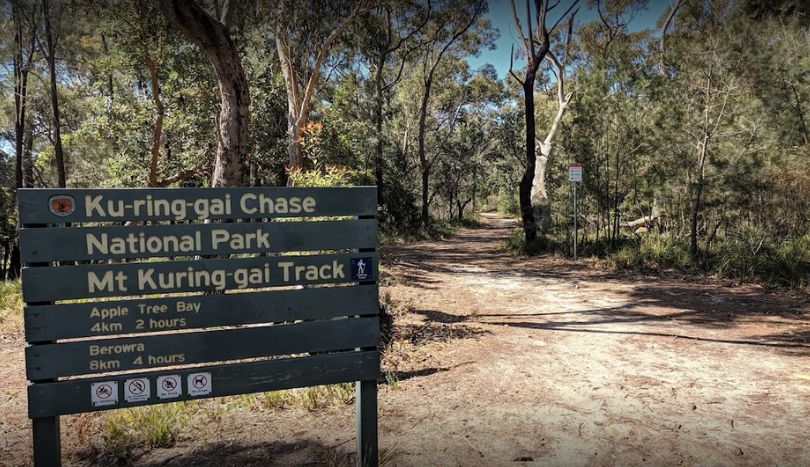 Ku-ring-gai National Park, Sydney Australia