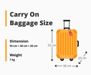 emirates suitcase dimensions