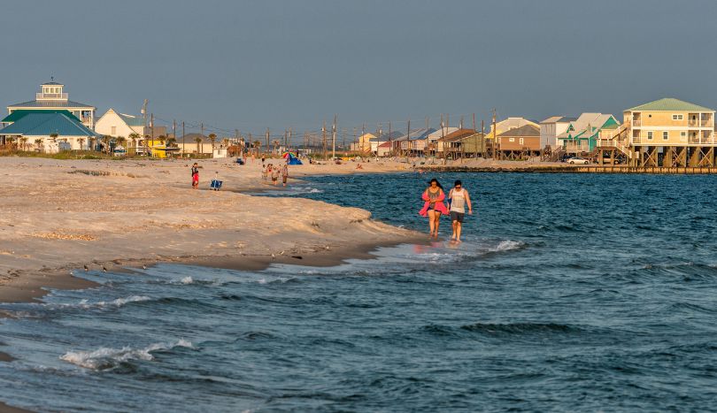 are dogs allowed on dauphin island beaches