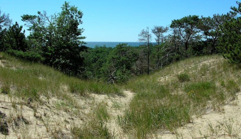 Kitchel Lindquist Dunes Preserve, Grand Haven MI
