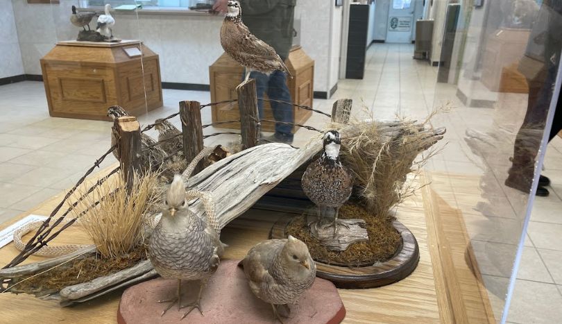 Sibley Nature Center