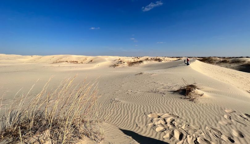 Monahans Sandhills State Park