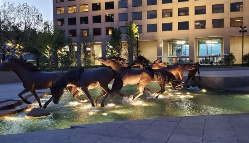 Picturesque Mustangs of Las Colinas