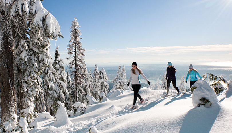 Best Time to Visit Vancouver, Grouse Mountain