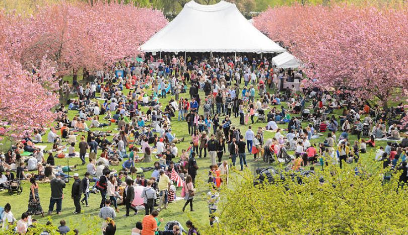 Vancouver cherry blossom festival