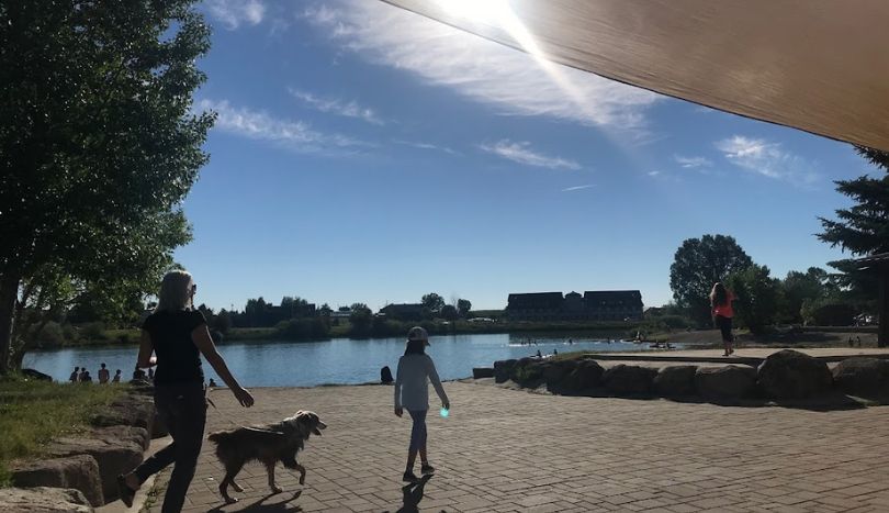 A Ludie visiting at Glen Lake Rotary Park with her dog